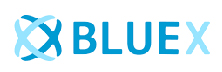 BlueX