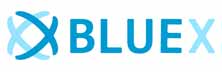 BlueX