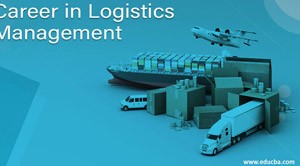 The Importance of Freight Management and Logistics Management 